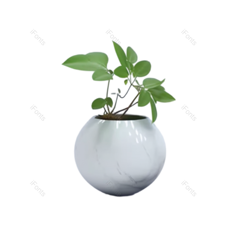 叶子图片,摄影元素,白色背景PNG,简单免抠素材